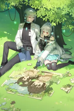 预览