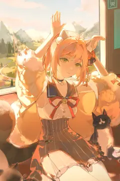 预览