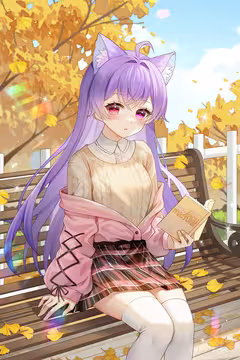 预览