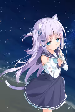预览