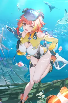 预览