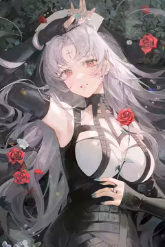 预览