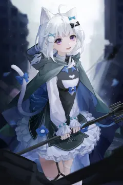 预览
