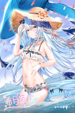预览