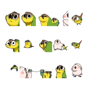预览