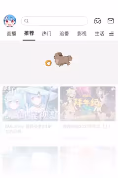 预览