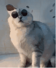 Bigfun 学生党发现派遣新作用