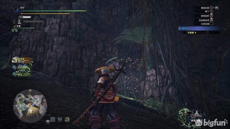 Bigfun Mhw 冰原 聚魔之地路线 资源点 Bigfun Mhw 冰原 聚魔之地路线 资源点