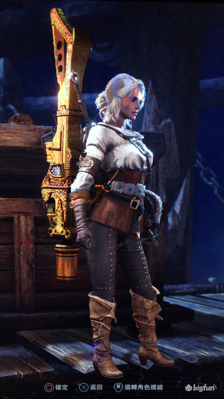 Bigfun 为星所驱 怪物猎人世界 入门与进阶 武器篇