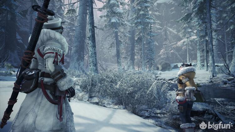 Bigfun Mhw 冰原 开荒你所需要知道的几条建议