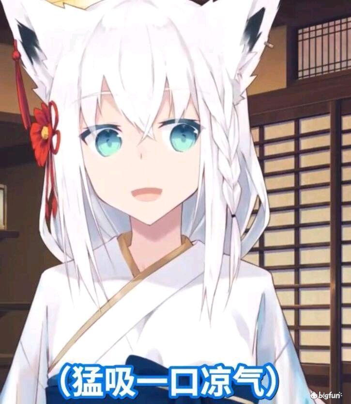 Bigfun 白上吹雪表情包交流帖