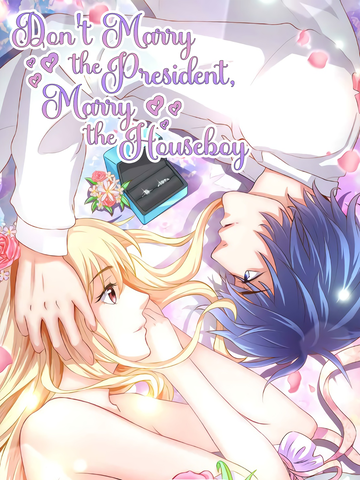 Don't Marry the President, Marry the Houseboy