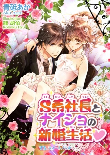 S-kei Shachou to Naisho no Shinkon Seikatsu?