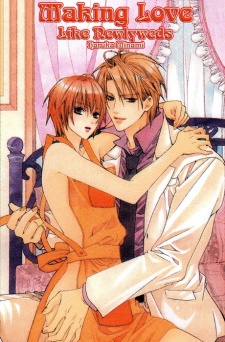 Shinkon Gokko de Aishite?