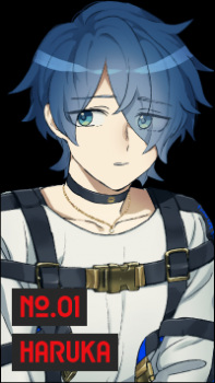 Haruka Sakurai