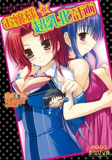 Ojousama☆Chounyuuka Keikaku