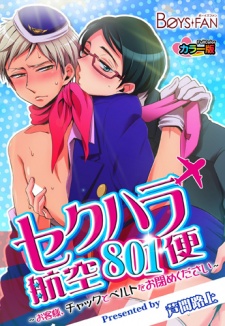 Sekuhara Koukuu 801-bin: Okyaku-sama, Chaku to Belt wo Oshime Kudasai
