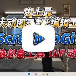 gif动图制作 ScreenToGif 录屏转GIF软件绿色便携版|GIF编辑器|视频转GIF动图