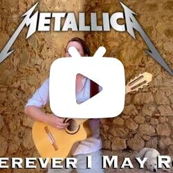 一把木吉他改编翻弹 Metallica 经典 Wherever I May Roam来自 Thomas Zwijsen