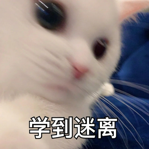 快乐佳人c