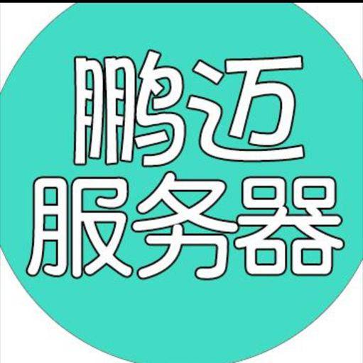 鹏迈组装服务器Q