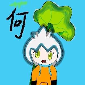 我是何少主
