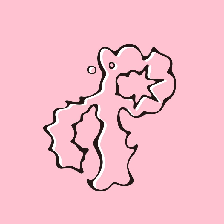 plave_official