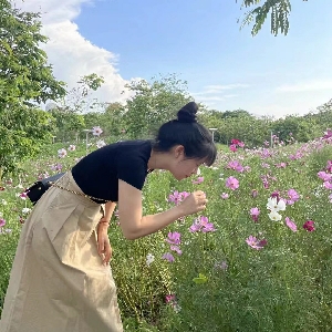 牛哔哩,一个只有评论的网站