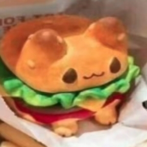 正在发射牛肉盖饭