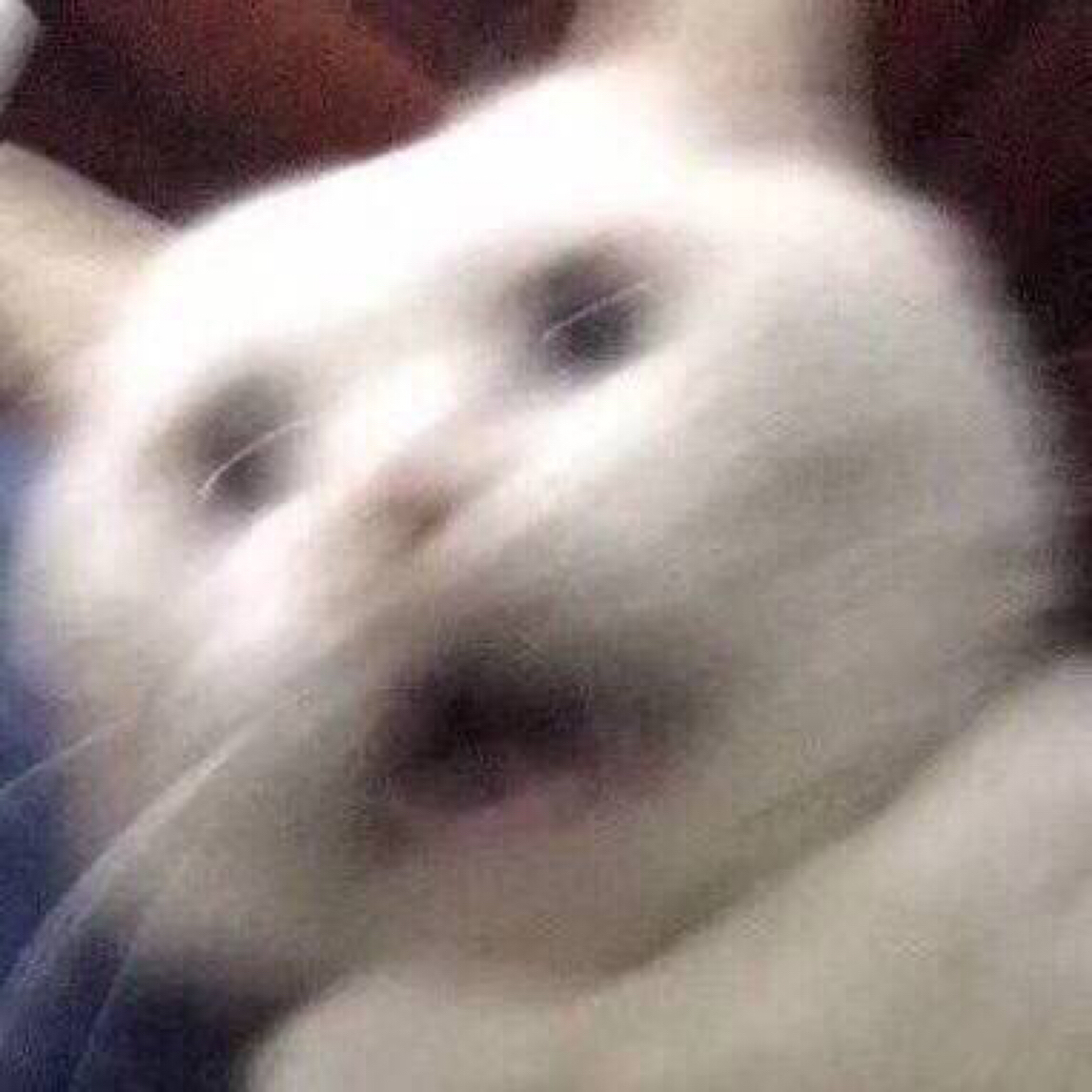 ⚠