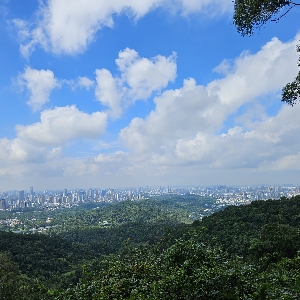 卓绝思维