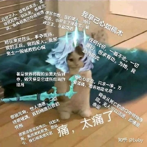 麻辣柚头车-三角洲