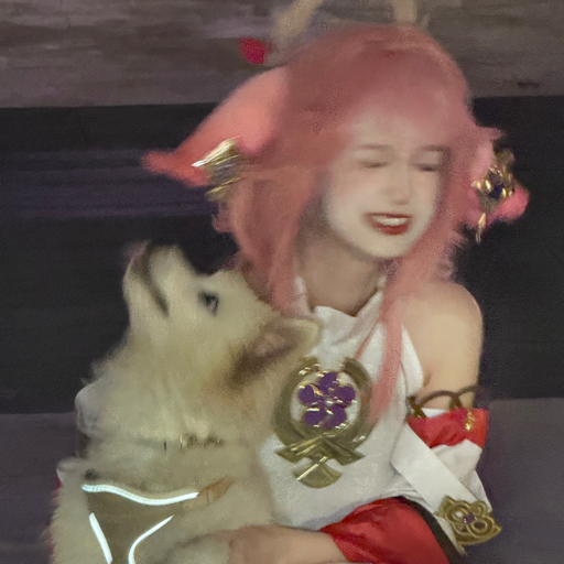 小羊崽吃了吗