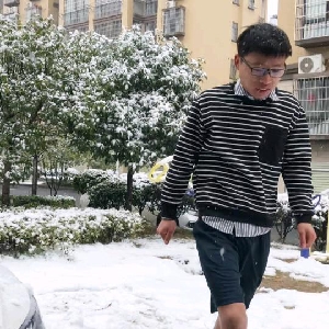 王子羊玫瑰