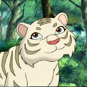 no怕不了木