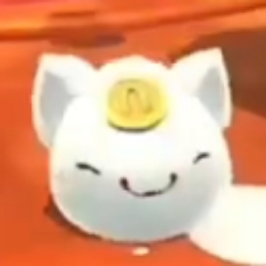 一只屑招财