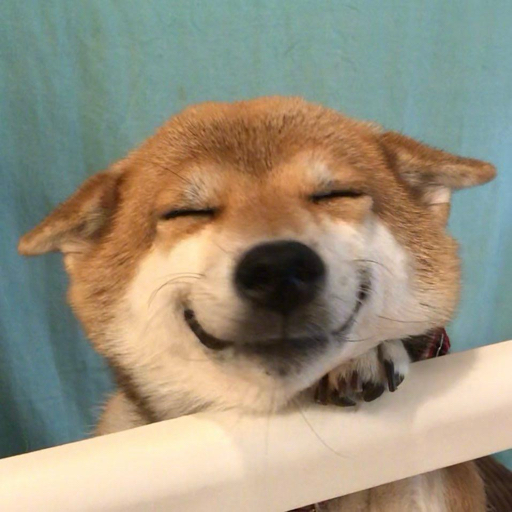 意识流的鱼大师