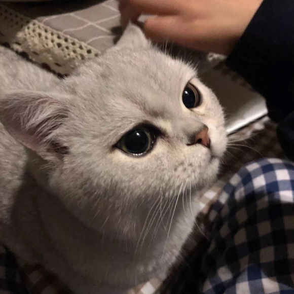程序员成长