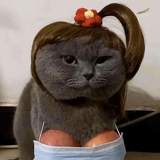 QQ飞车鸭头