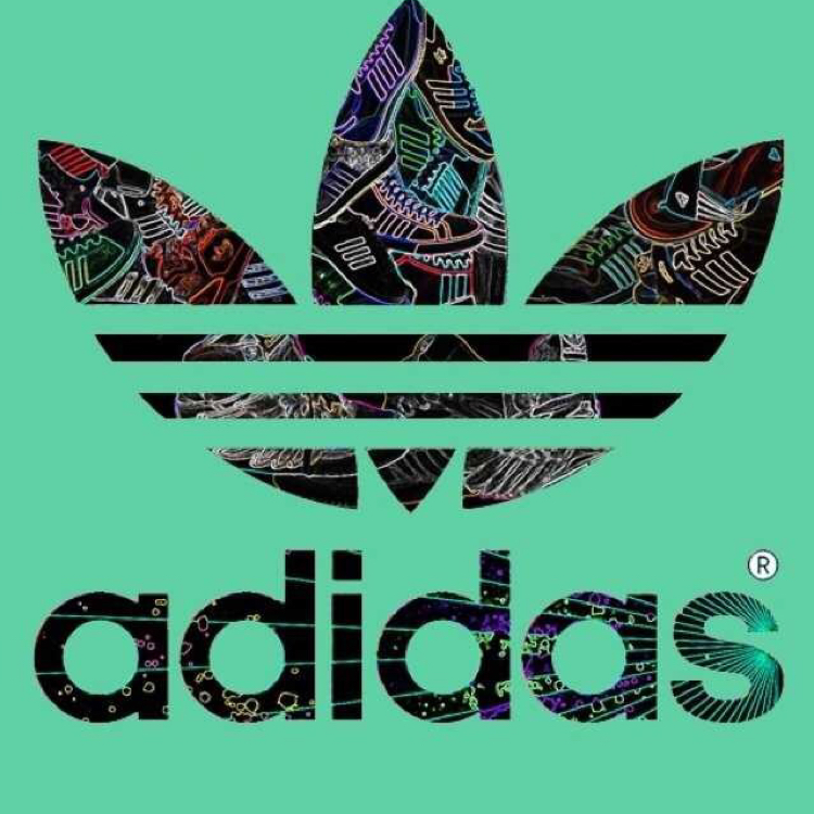 关注          ta的视频           黑色四叶草