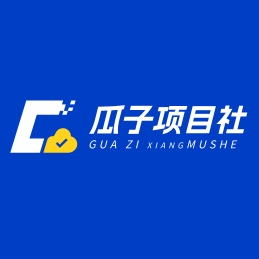 瓜子项目社