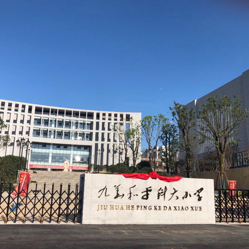 你来画 我来猜 (九华和平科大小学)