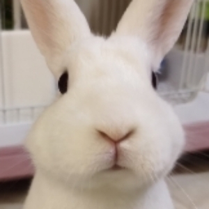 没钱的朋友mini's avatar