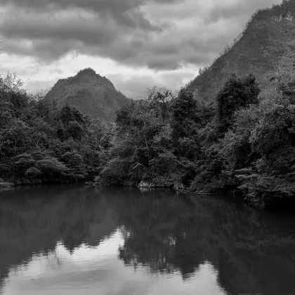 落花时节不欲生