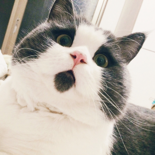 斑斑斑爷直播间～ - 斑斑斑爷omg - 哔哩哔哩直播