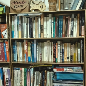 短胡须灰猫