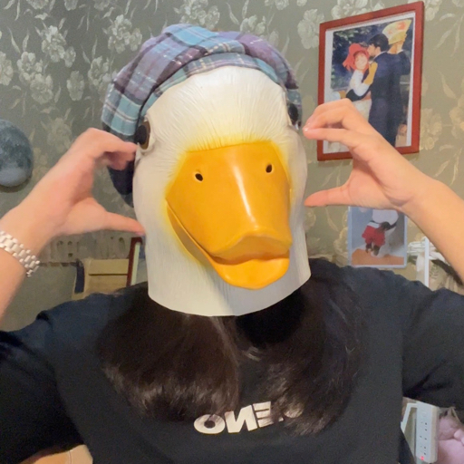 Lily皆辛苦鸭