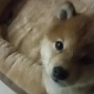 ⚠