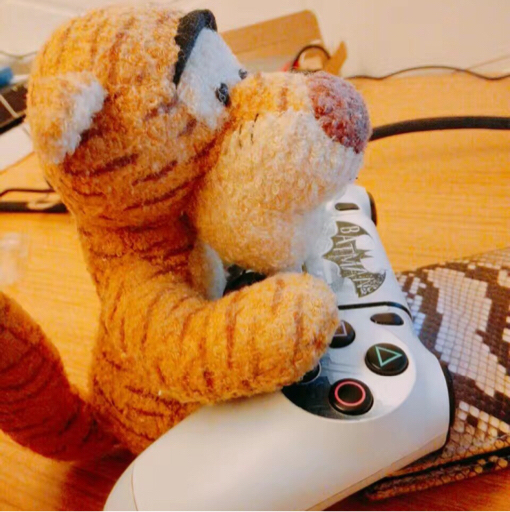 星露谷物语(助眠向直播) - 喵喵呜喵喵喵喵 - 哔