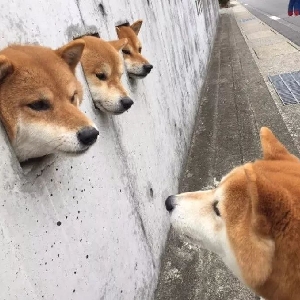 下班后加班